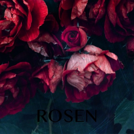 Rosen | Boomplay Music