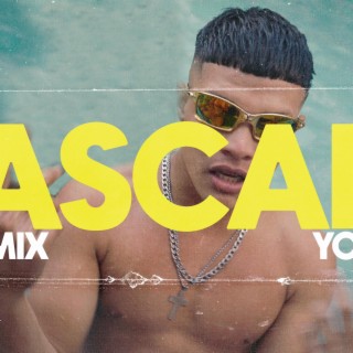 TASCANI (YOSU JV,ALE MIX)