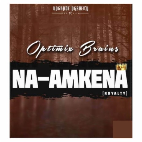 NA-AMKENA | Boomplay Music
