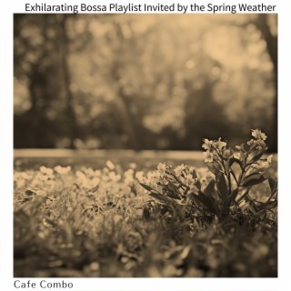 Exhilarating Bossa Playlist Invited by the Spring Weather