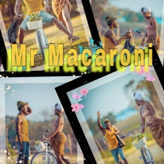 Mr macaroni
