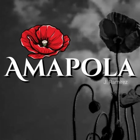 Amapola | Boomplay Music