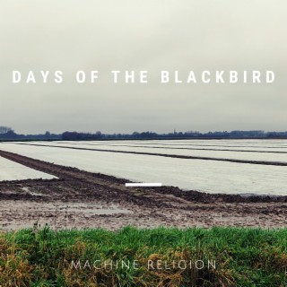 Days Of The Blackbird
