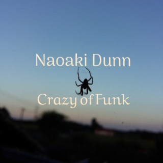 Crazy of Funk