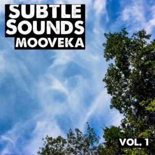 Subtle Sounds, Vol. 1