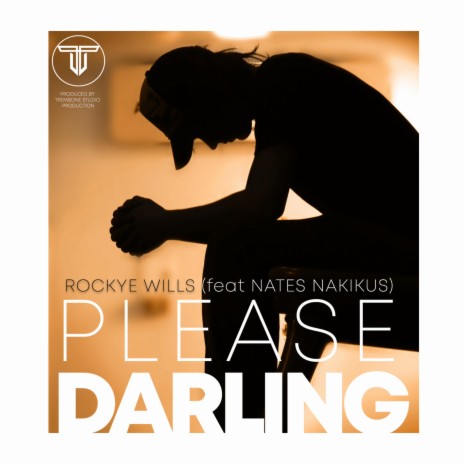 Please Darling ft. Nathan Nakikus | Boomplay Music