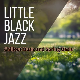 Chillout Music and Spring Oasis