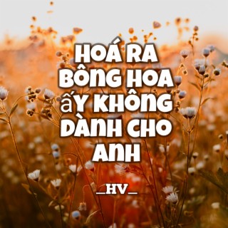 Hoá Ra Bông Hoa Ấy Không Dành Cho Anh