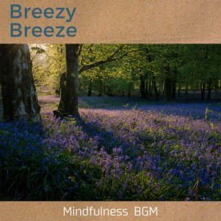 Mindfulness BGM