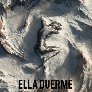 Ella Duerme ft. Walter Sierra lyrics | Boomplay Music