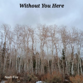 Without You Here