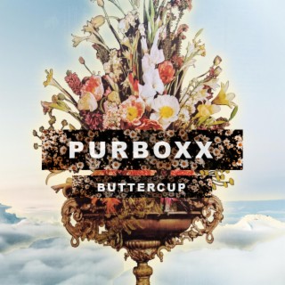 Purboxx