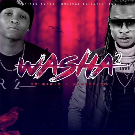 Washa 2 ft. Majestigg | Boomplay Music