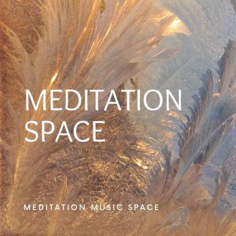 MEDITATION SPACE | Boomplay Music