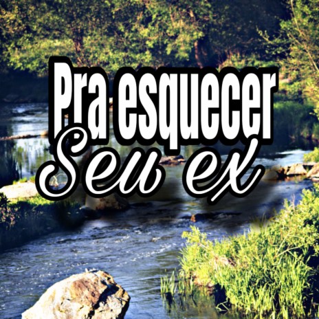 Pra esquecer seu ex | Boomplay Music