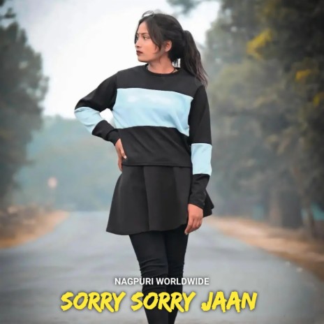 Sorry Sorry Jaan | Boomplay Music
