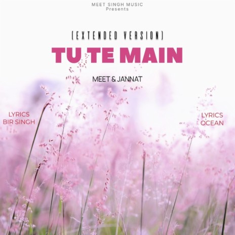 Tu Te Main (Extended Version) ft. Jannat Noor | Boomplay Music