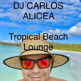 Tropical Beach Lounge