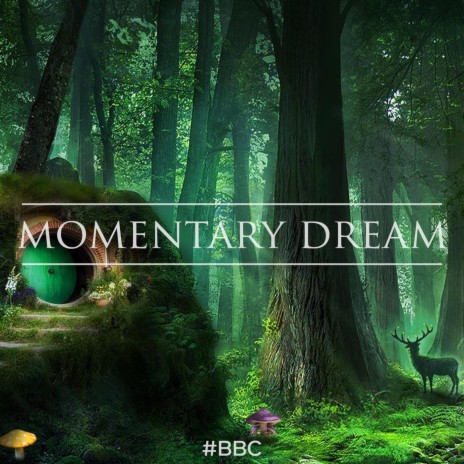 Momentary Dream | Boomplay Music