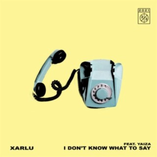 I Don't Know What To Say + Remixes