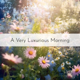 A Very Luxurious Morning