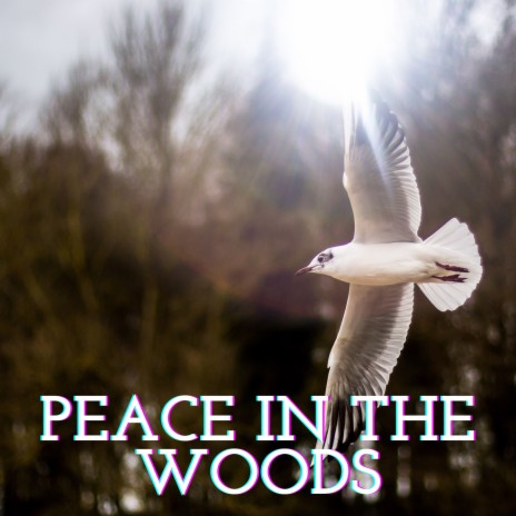 peace in the woods | Boomplay Music