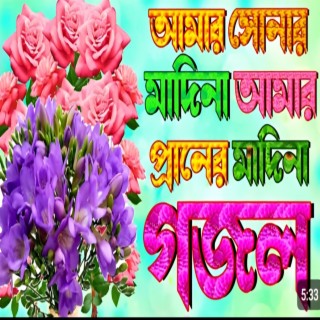 সোনার মদিনা আমার