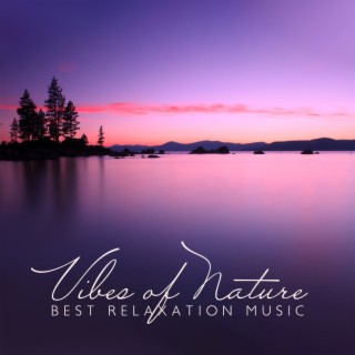 Vibes of Nature: Best Relaxation Music, Meditation & Sleep