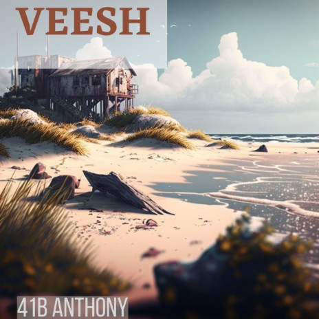 Veesh | Boomplay Music