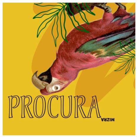 Procura | Boomplay Music