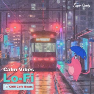 Calm Vibes LoFi Hip Hop