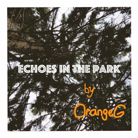 Echoes in the Park | Boomplay Music