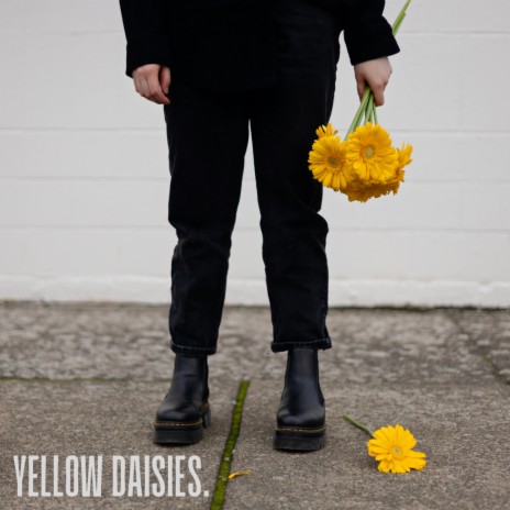 Yellow Daisies | Boomplay Music