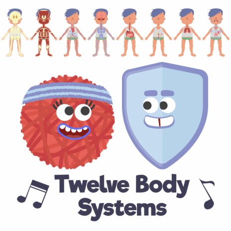 Twelve Body Systems Song | Boomplay Music