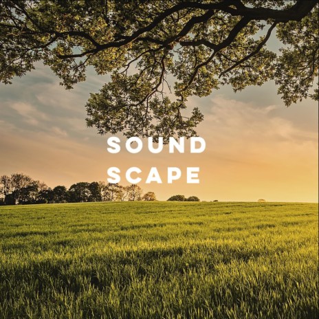 SoundScape