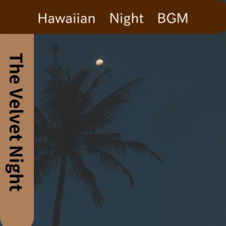 Hawaiian Night BGM