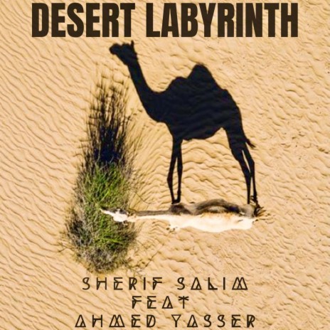 Desert Labyrinth (feat. Ahmed Yasser) | Boomplay Music
