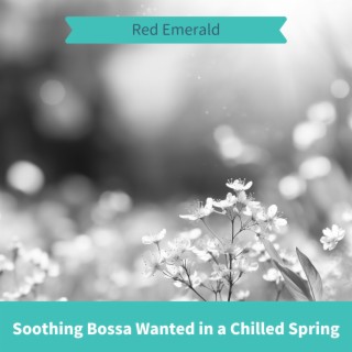 Soothing Bossa Wanted in a Chilled Spring