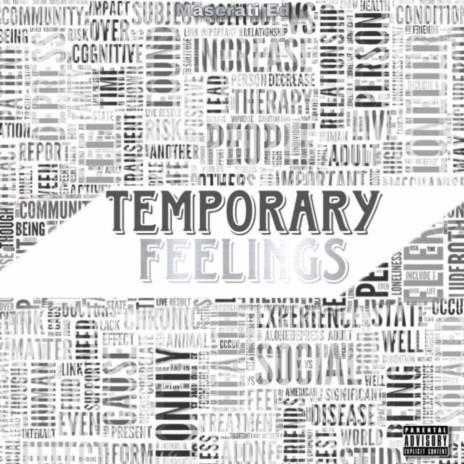 Temporary Feelings | Boomplay Music