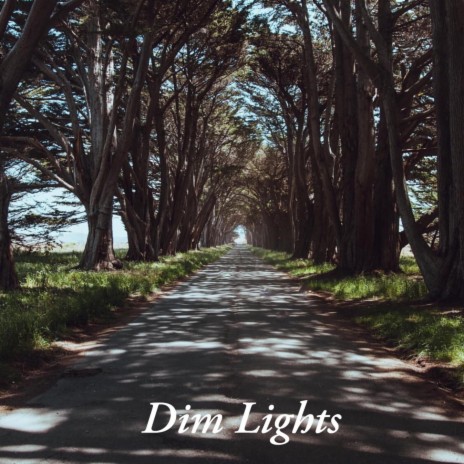 Dim Lights