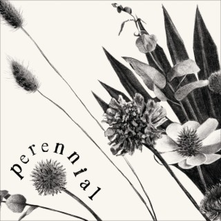 perennial