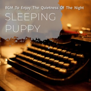 BGM To Enjoy The Quietness Of The Night