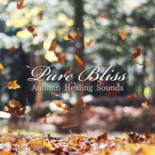 Pure Bliss "Autumn Healing Sounds"