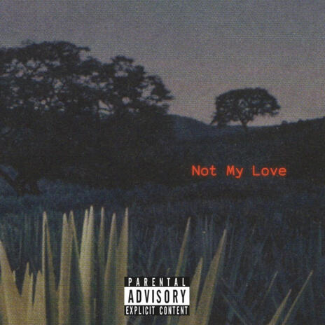 Not My Love ft. Aric B. | Boomplay Music