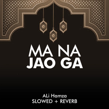 Ma Na Jao Ga Lofi | Boomplay Music