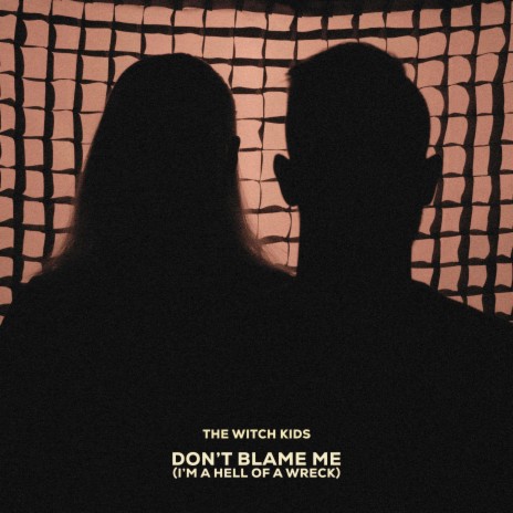 Don't Blame Me (I'm a Hell of a Wreck) | Boomplay Music