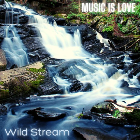 Wild Stream | Boomplay Music