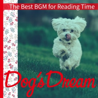 The Best BGM for Reading Time