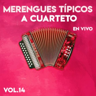 Merengues Tipicos A Cuarteto En Vivo,Vol.14 (En Vivo)