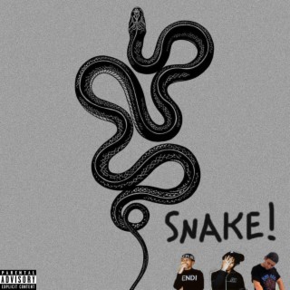 SNAKE! (feat. iayze & Desire)